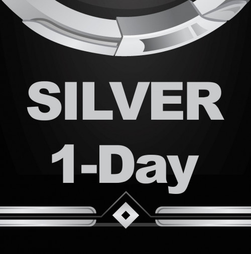 silver-1.jpg