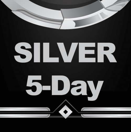 silver-5.jpg